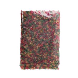 Tutti - Frutti